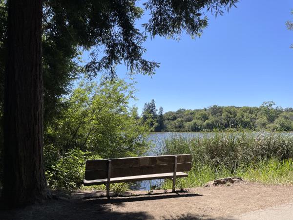 /Images/uploads/Sonoma County Regional Parks Foundation/springlake50/entries/29142thumb.jpg